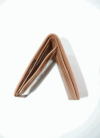 Cartera de piel FOSSIL (5)