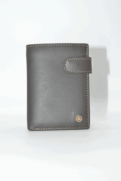 Cartera LUGUPELL con monedero interior y cierre marron