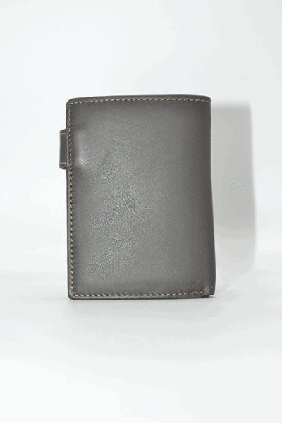 Cartera LUGUPELL con monedero interior y cierre marron (1)