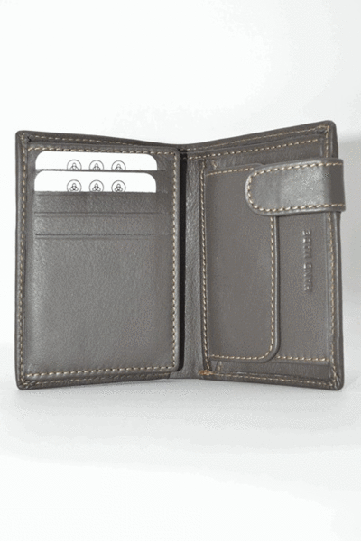 Cartera LUGUPELL con monedero interior y cierre marron (2)