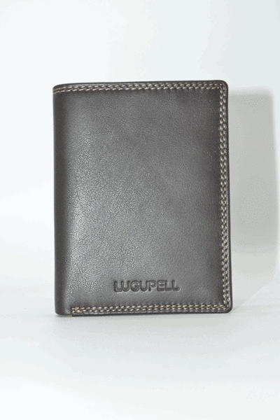Cartera LUGUPELL con monedero marron