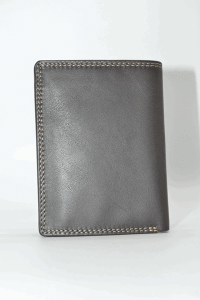 Cartera LUGUPELL con monedero marron (1)