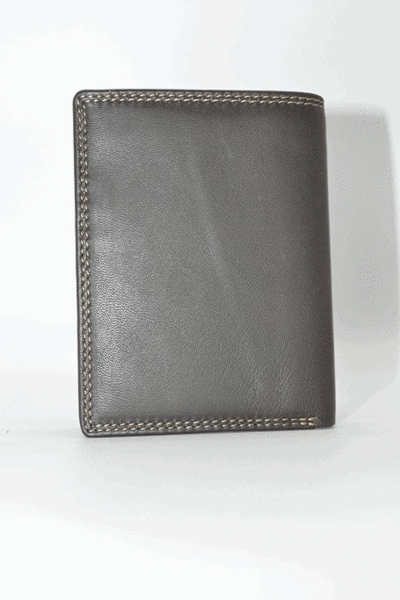 Cartera LUGUPELL Nevada marron (1)