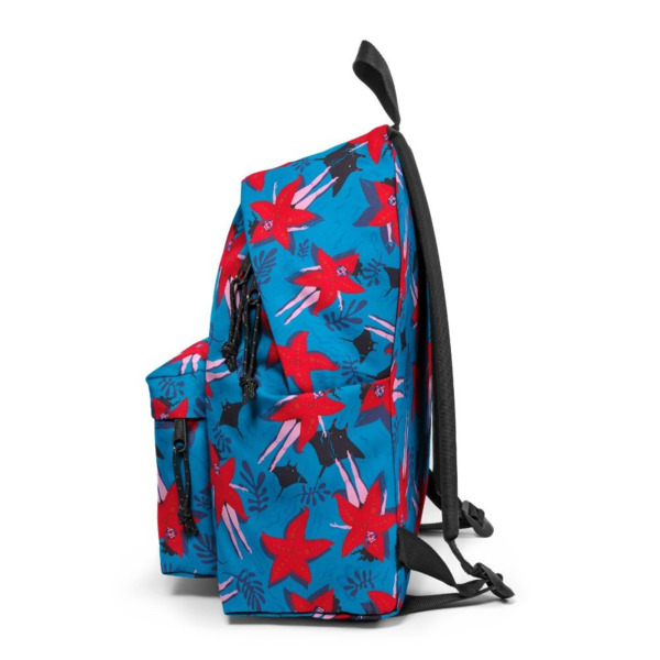 Mochila EASTPAK Padded Pak'r® Funksea Aqua (3)