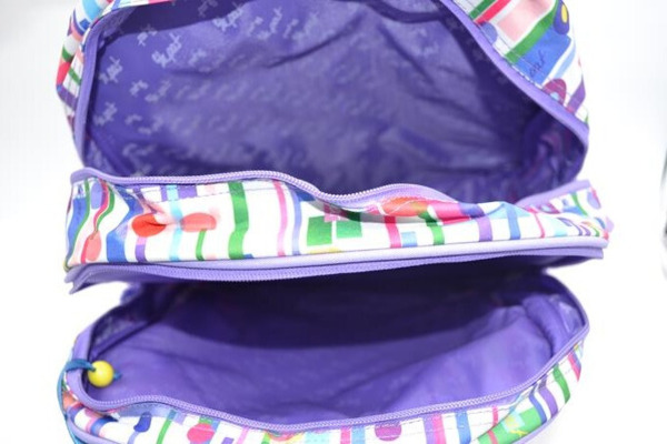 Mochila SKPT  adaptable a carro (2)